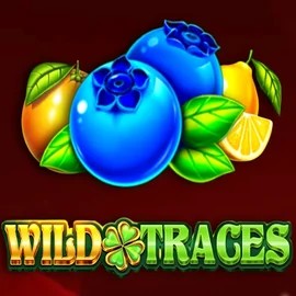 Try Wild Traces slot by Amusnet Interactive on dragoniaa.de – logo image